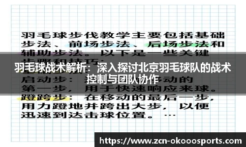 羽毛球战术解析:深入探讨北京羽毛球队的战术控制与团队协作